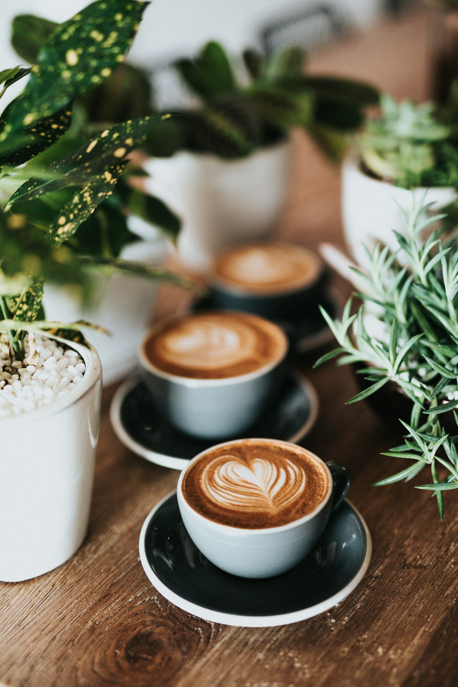 Gröna kaffebönor, Yirgacheffe